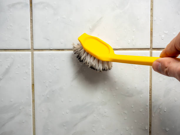 Best Attic Mold Removal  in Belmont Estates, VA