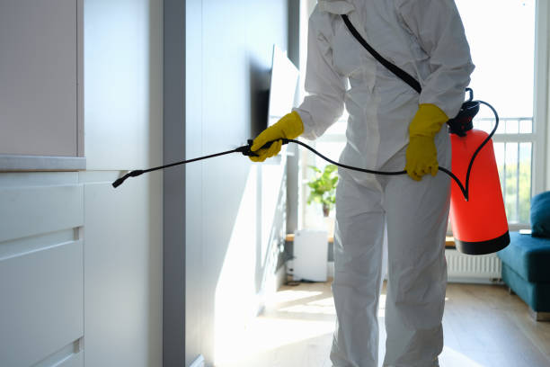 Mold Removal and Inspection in Belmont Estates, VA