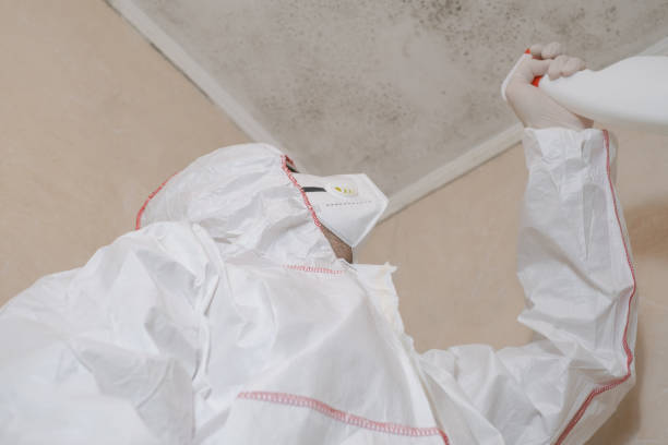 Best Toxic Mold Removal  in Belmont Estates, VA